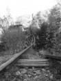 /album/kovaszna/dscf2130-jpg/