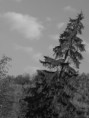 /album/kovaszna/dscf2138-jpg/