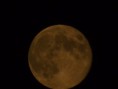 /album/kovaszna/dscf1727-jpg/