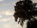 /album/kovaszna/dscf1795-jpg/